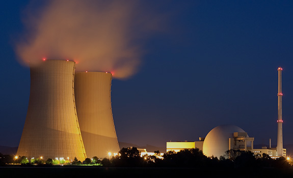 Nuclear Power Plant Control System