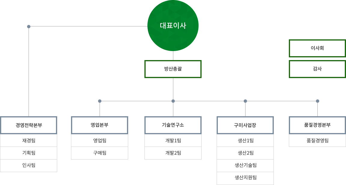 대표이사, 감사, 고문, 경영지원실-기획관리팀, 재경팀, HR팀, 영업본부-영업1팀, 영업2팀, 구매팀, 기술연구소-개발1팀, 개발2팀, 개발3팀, 개발 지원팀, 구미사업장-생산팀, 생산기술팀, 생산지원팀, 품질경영본부-품질경영팀